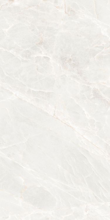 Brasilia White Matte 24 x 48